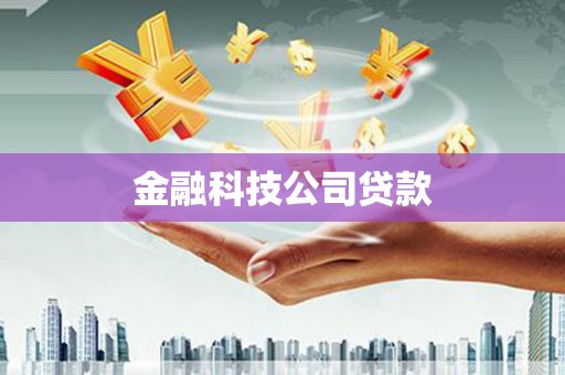若尔盖金融科技公司贷款