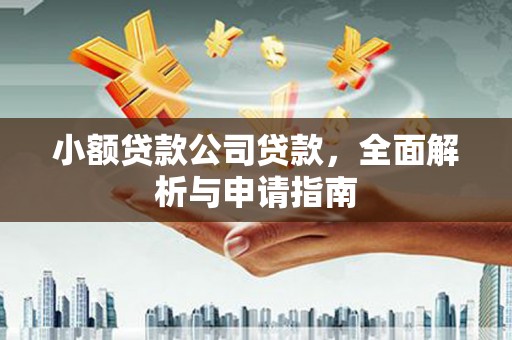 若尔盖小额贷款公司贷款，全面解析与申请指南