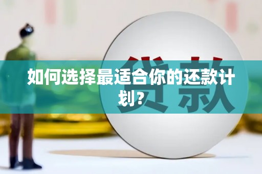 若尔盖如何选择最适合你的还款计划？
