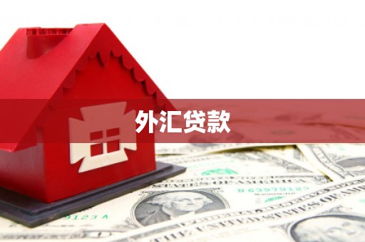 若尔盖外汇贷款