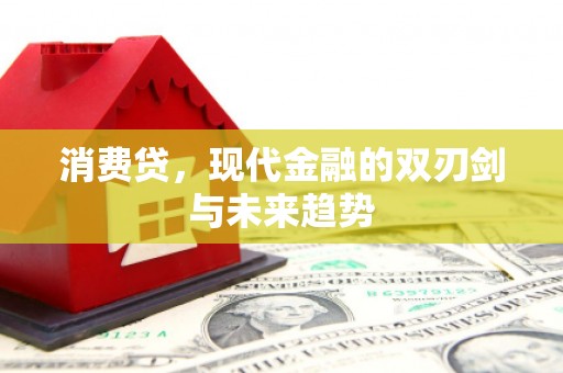 若尔盖消费贷，现代金融的双刃剑与未来趋势