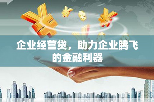 若尔盖企业经营贷，助力企业腾飞的金融利器