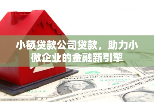 若尔盖小额贷款公司贷款，助力小微企业的金融新引擎