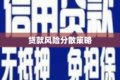 若尔盖贷款风险分散策略