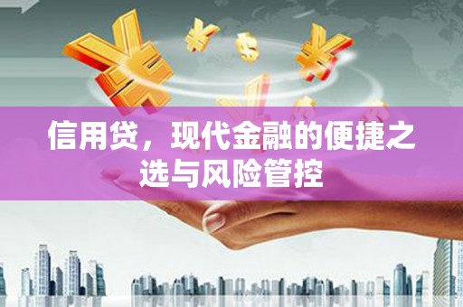 若尔盖信用贷，现代金融的便捷之选与风险管控