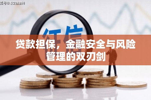 若尔盖贷款担保，金融安全与风险管理的双刃剑