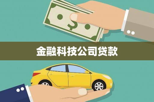 若尔盖金融科技公司贷款