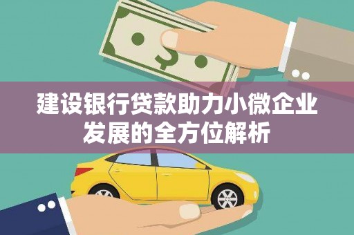 若尔盖建设银行贷款助力小微企业发展的全方位解析