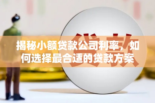 若尔盖揭秘小额贷款公司利率，如何选择最合适的贷款方案