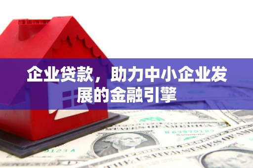 若尔盖企业贷款，助力中小企业发展的金融引擎