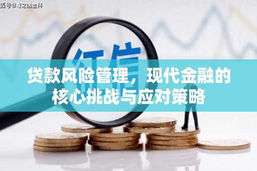 若尔盖贷款风险管理，现代金融的核心挑战与应对策略