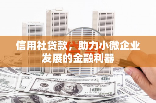 若尔盖信用社贷款，助力小微企业发展的金融利器