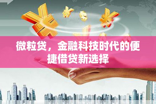 若尔盖微粒贷，金融科技时代的便捷借贷新选择