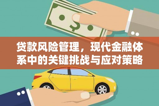若尔盖贷款风险管理，现代金融体系中的关键挑战与应对策略