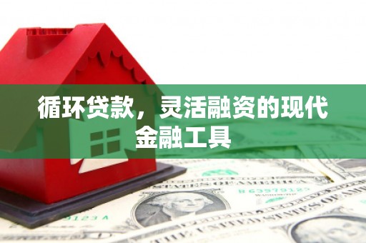 若尔盖循环贷款，灵活融资的现代金融工具