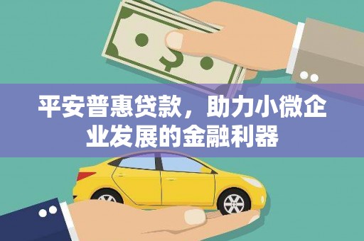若尔盖平安普惠贷款，助力小微企业发展的金融利器