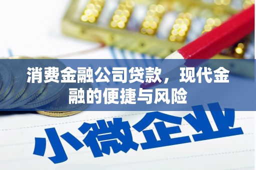若尔盖消费金融公司贷款，现代金融的便捷与风险