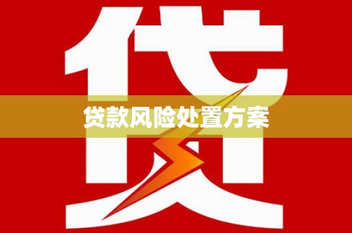 若尔盖贷款风险处置方案
